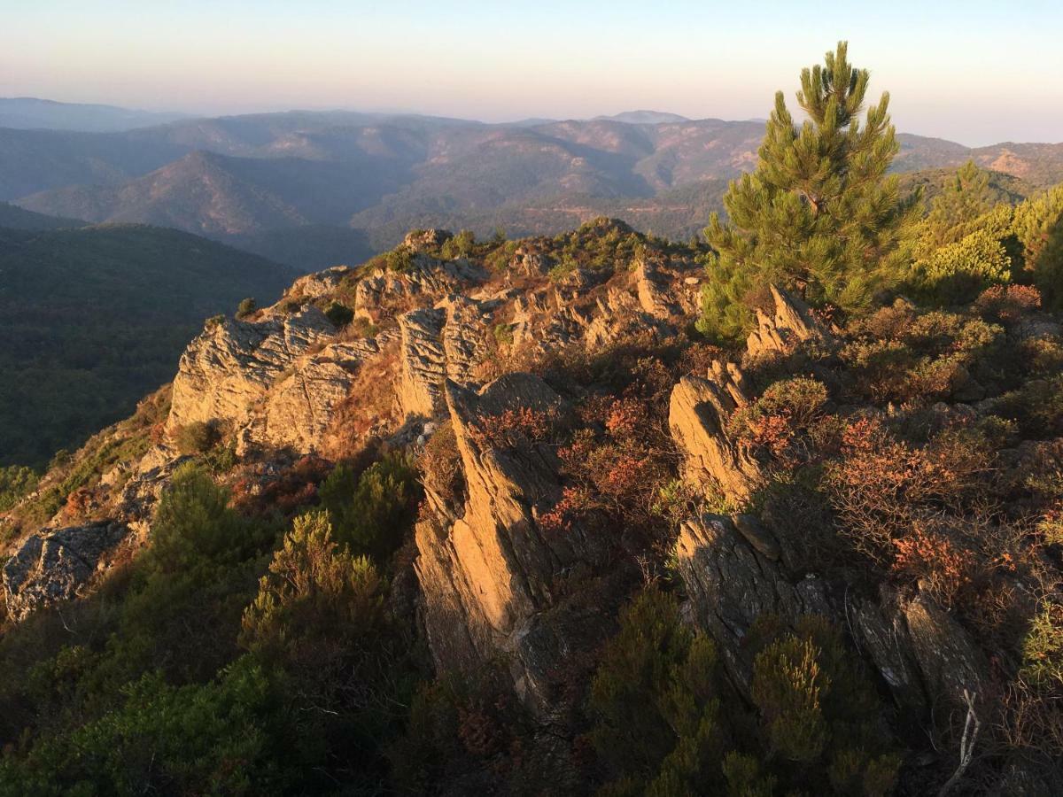 The Nut House Vakantiehuis La Garde-Freinet